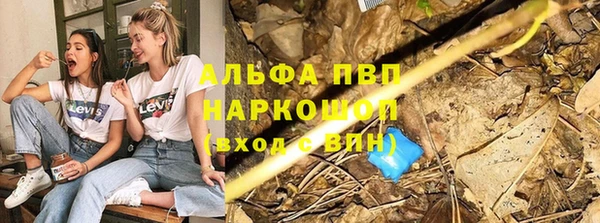 трава Покачи